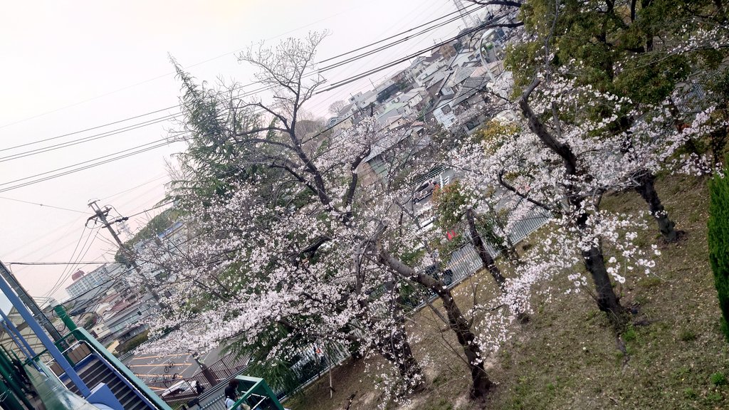 でじたーろぐ tweet media