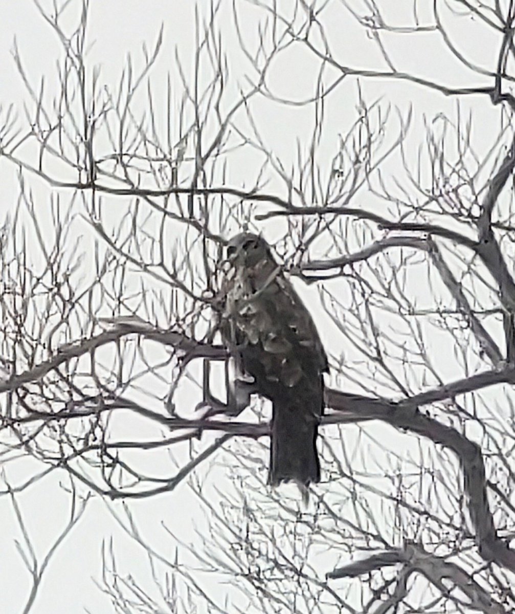 北乃 KITANO🪡🧵和布リメイクちいさなものたち tweet media