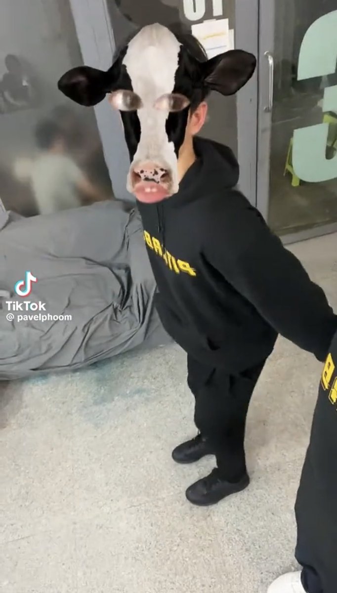 Gripen ✍🏻. (Busy) tweet media