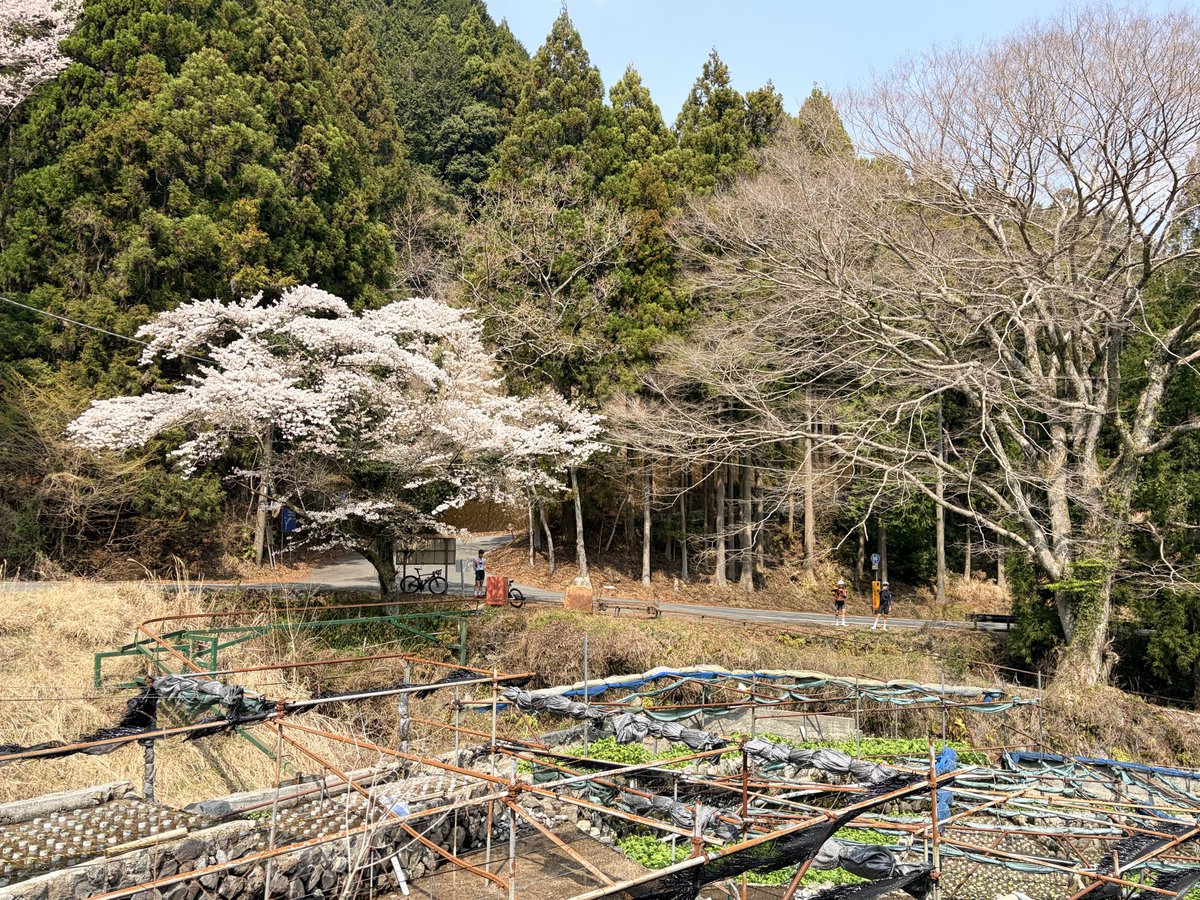 おこめ tweet media