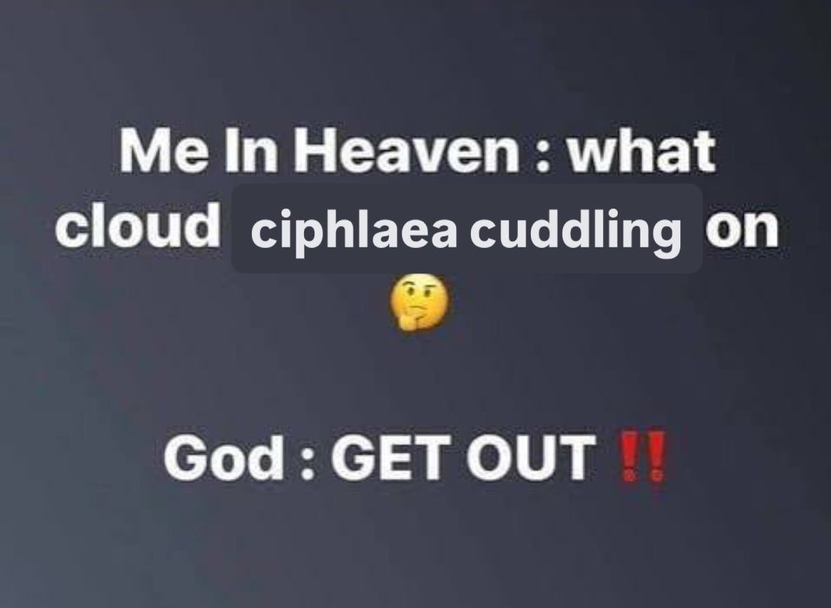 naviafan tweet media