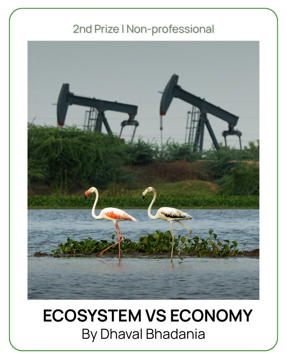 mssrf's tweet image. 🏆 Winning entries of the MSSRF Wetland Photo Contest 2026! 

A huge congratulations to the talented photographers whose work perfectly captures the importance of our #wetlands. View the winning photos and read the excerpts here: mssrf.org/stories-of-cha…

📷 Non-Professional