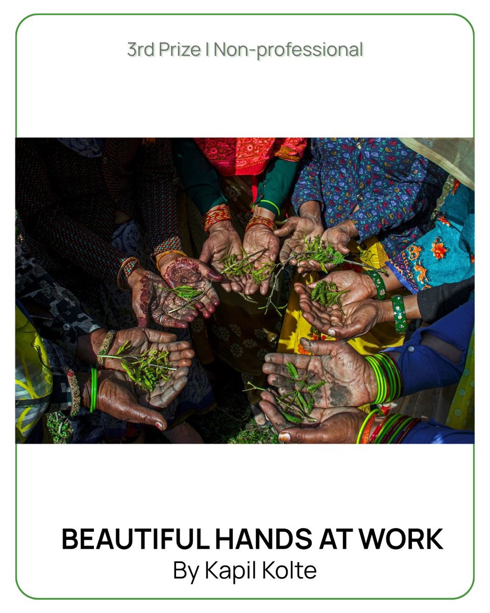 mssrf's tweet image. 🏆 Winning entries of the MSSRF Wetland Photo Contest 2026! 

A huge congratulations to the talented photographers whose work perfectly captures the importance of our #wetlands. View the winning photos and read the excerpts here: mssrf.org/stories-of-cha…

📷 Non-Professional