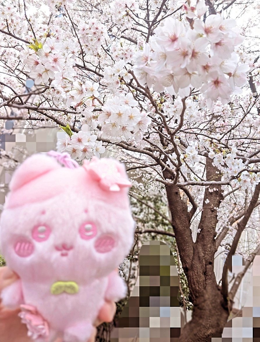 ᴴⁱᶜʰᵃ♡ tweet media