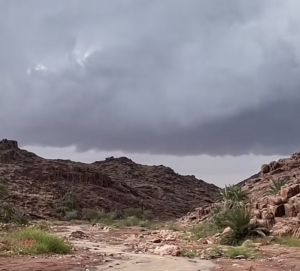 جواهر 🕊️🇸🇦 tweet media