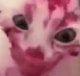 dorkew's tweet photo. @FeelsBanditMan https://t.co/HFHqVIcTOu