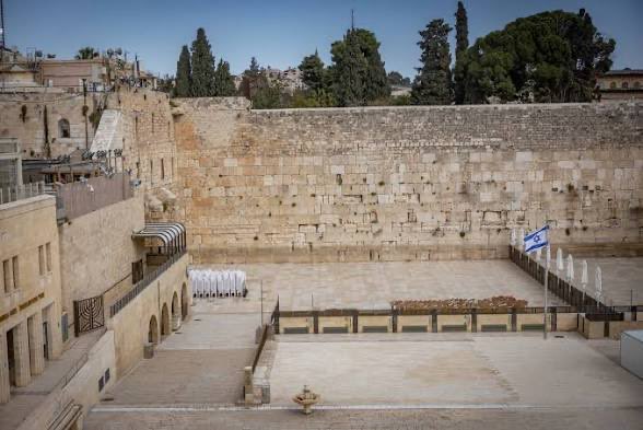 Lion of Zion tweet media