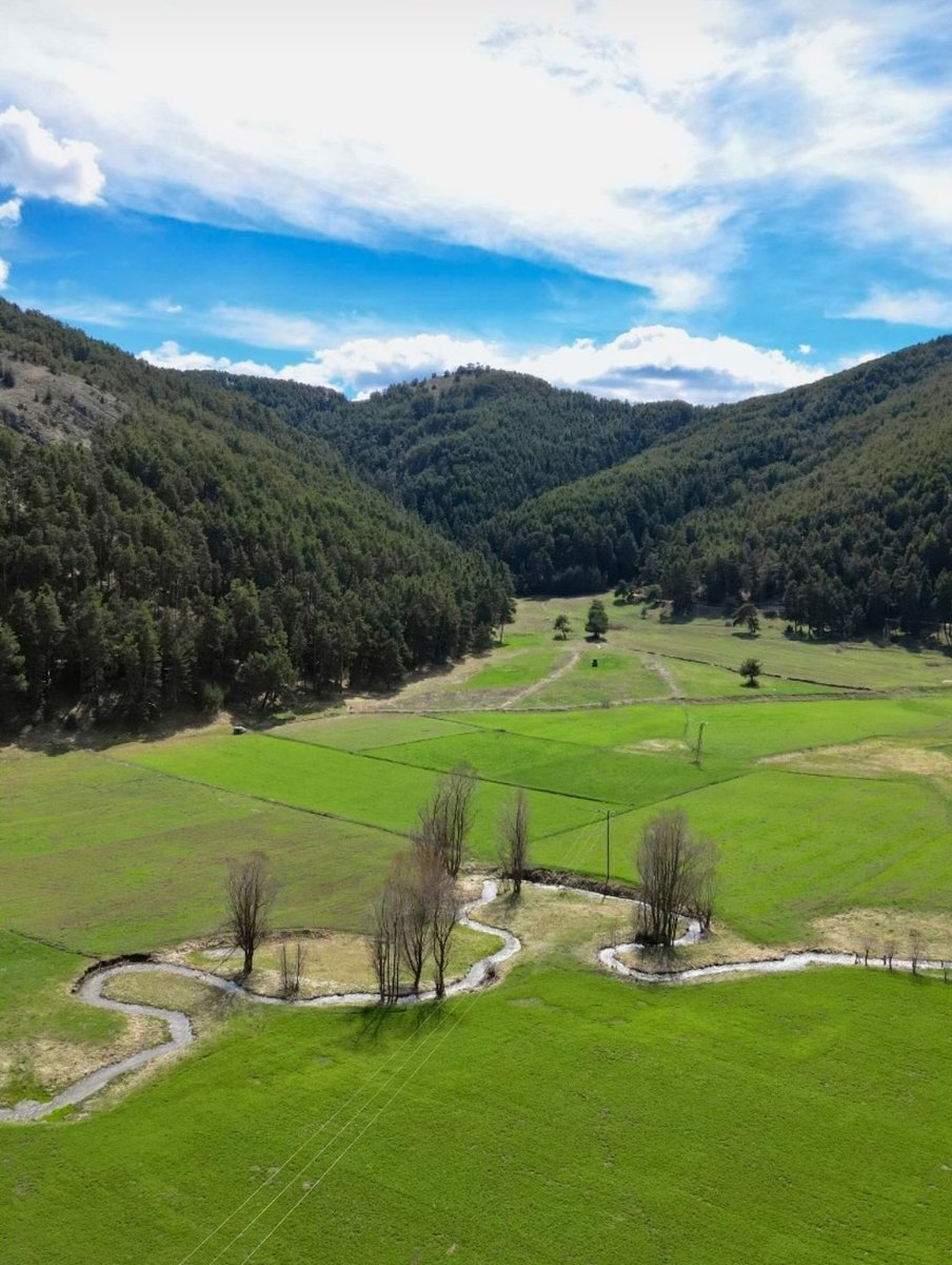 Adem Ayan tweet media