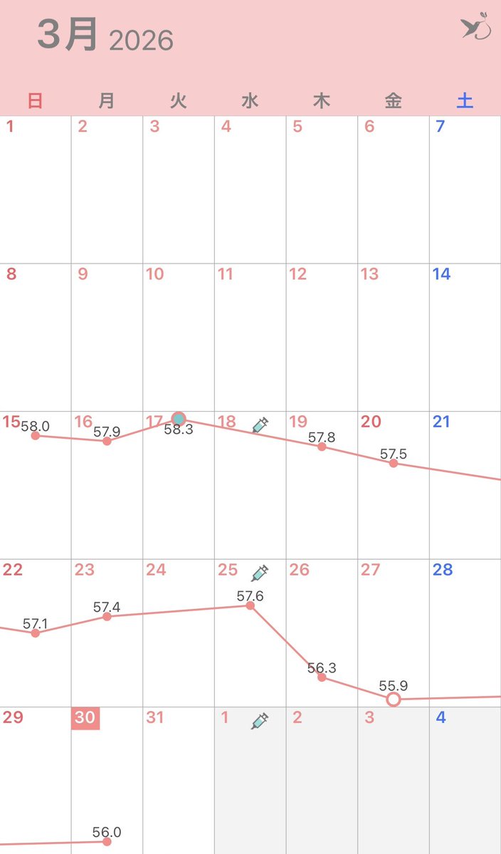 𝗎𝗆𝖾𝗄𝗈 tweet media