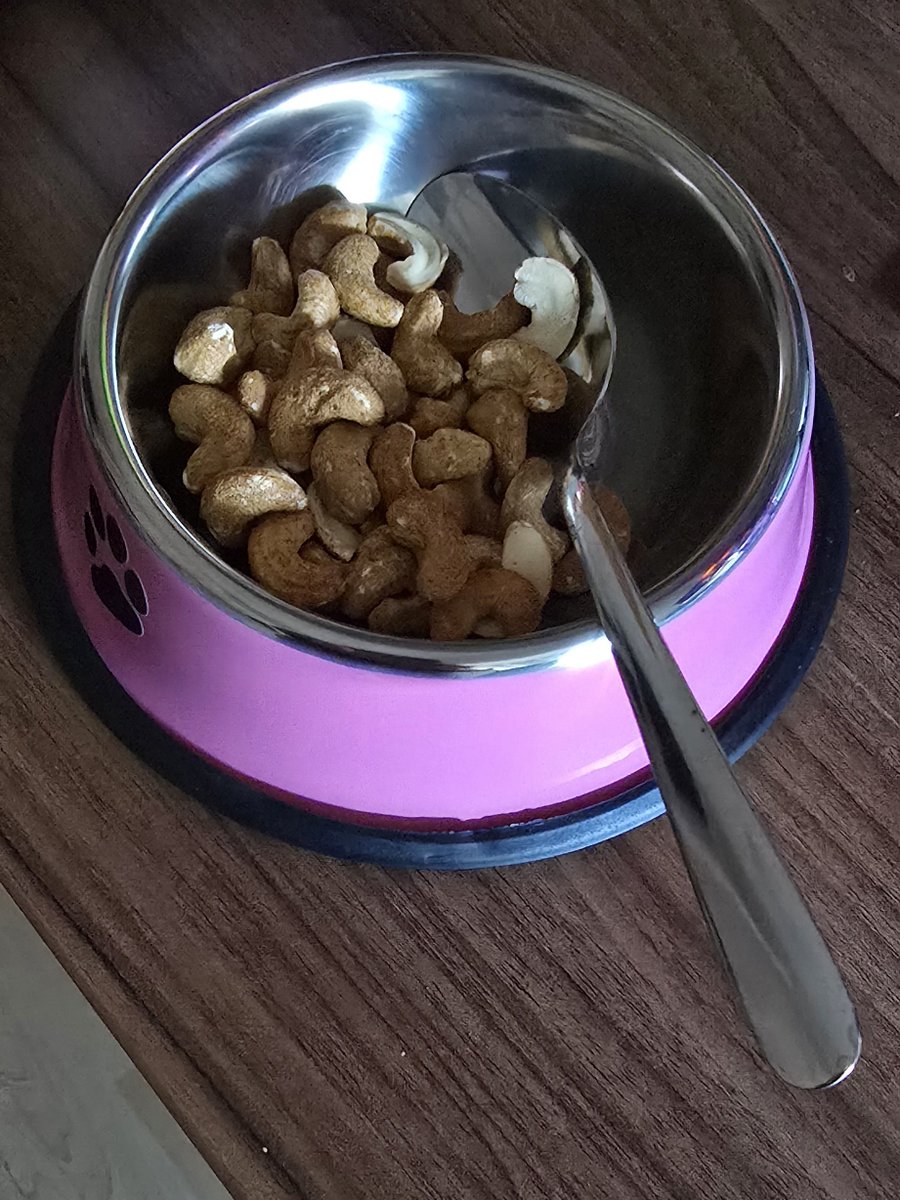 Gabbie (fem/boy) tweet media