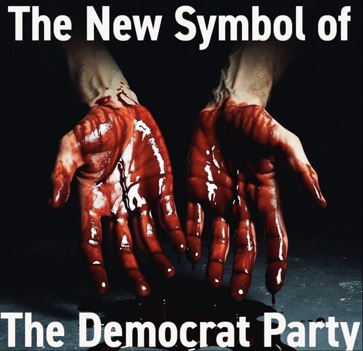 Sir Knight tweet media