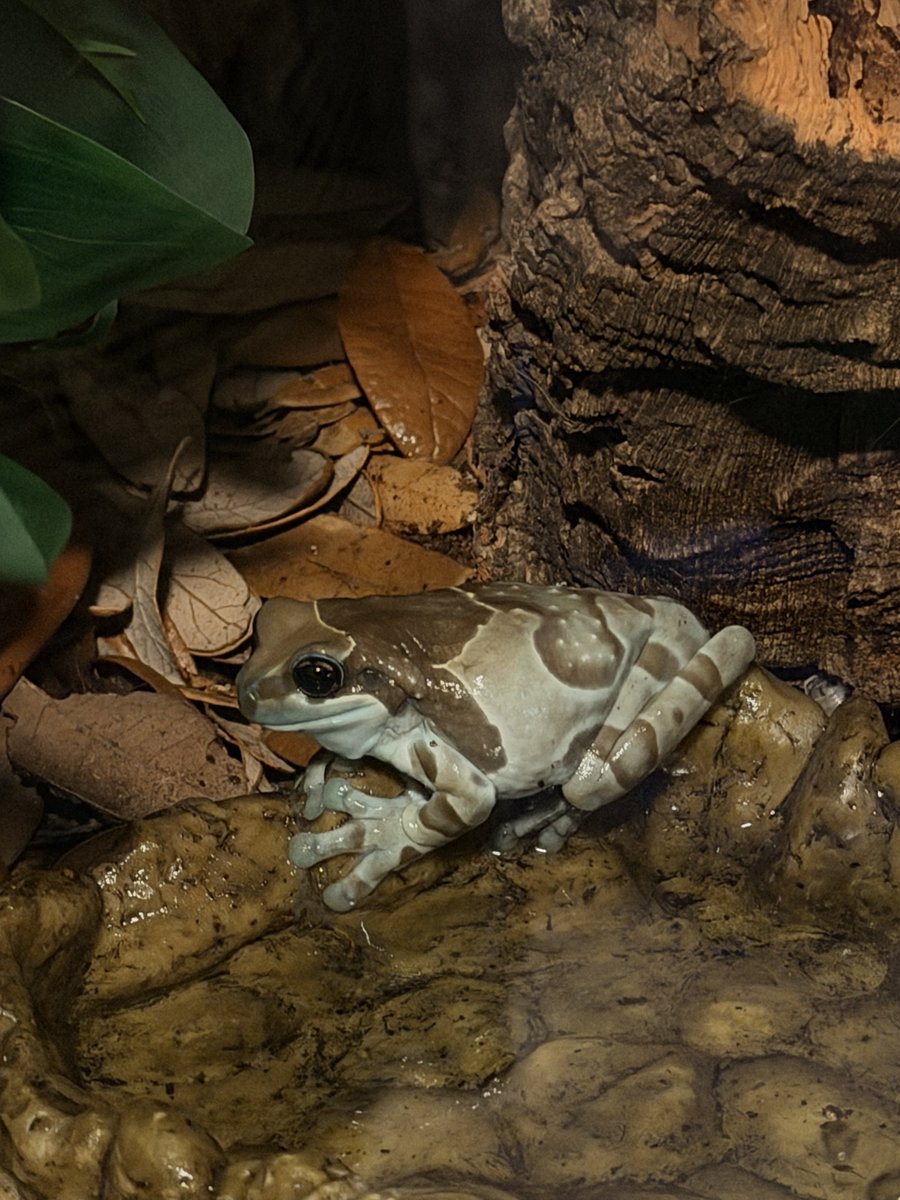 Flora pt 2 tweet media