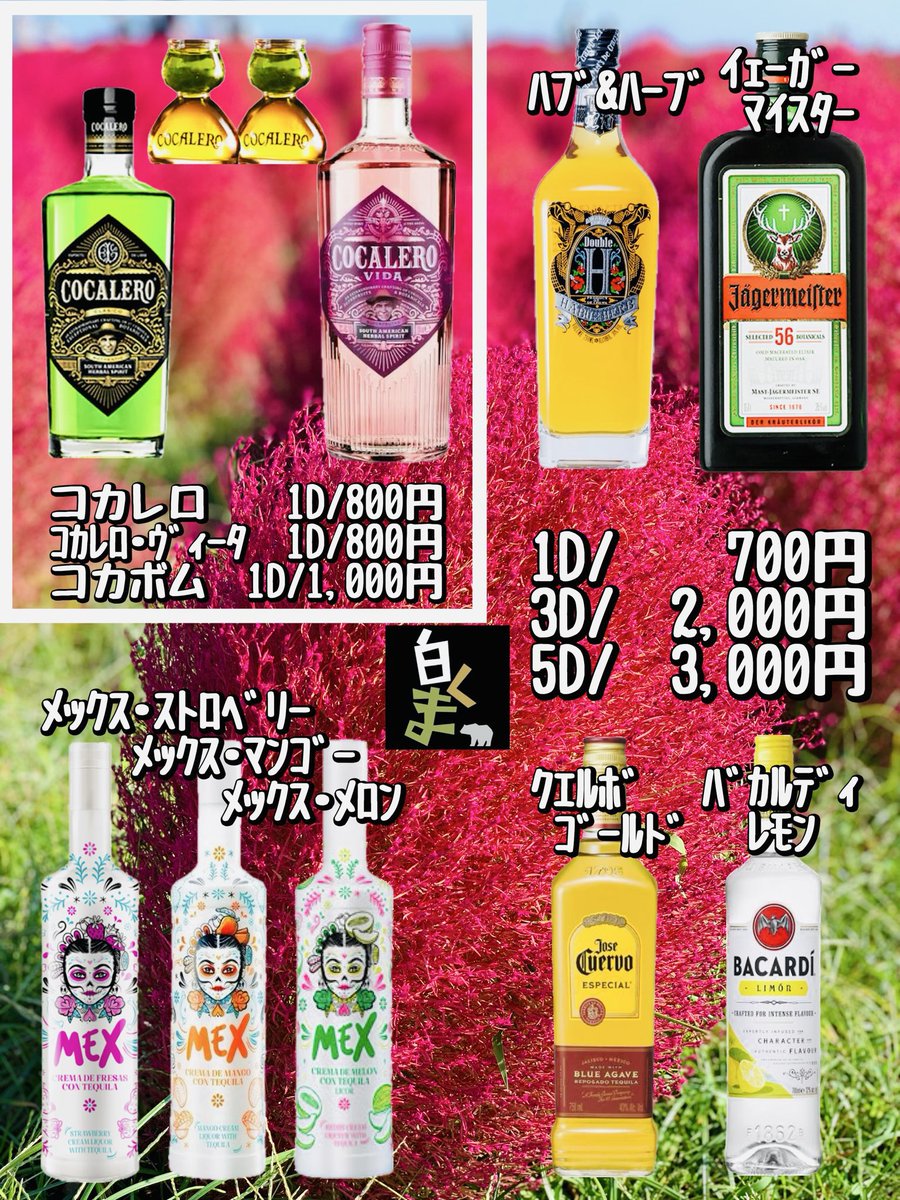 白くま＠4/4(土)はじゅんタソバースデーパーティーです！ tweet media