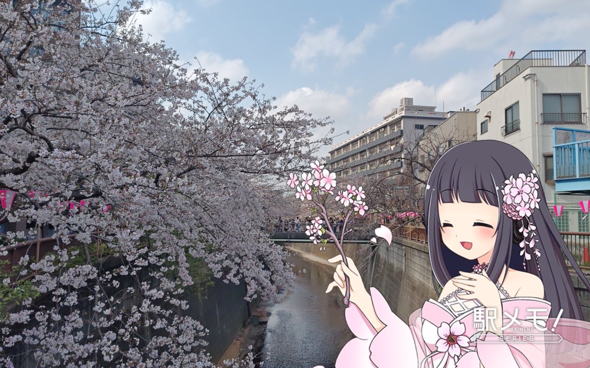 すまきゅん tweet media