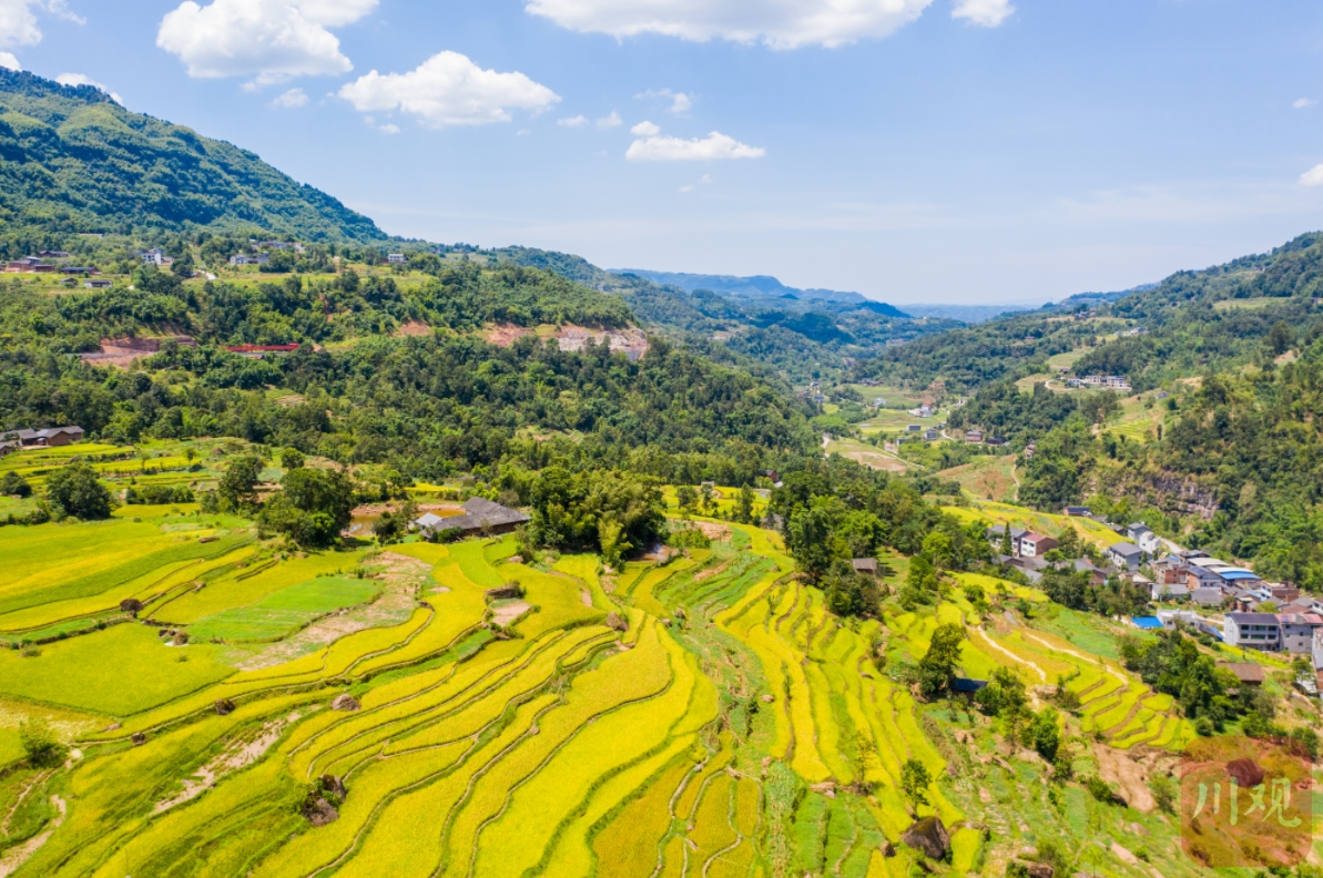 matheus moura tweet media