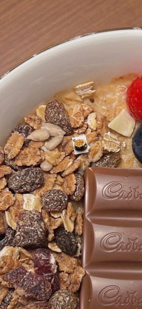 Bander 🇸🇦 tweet media