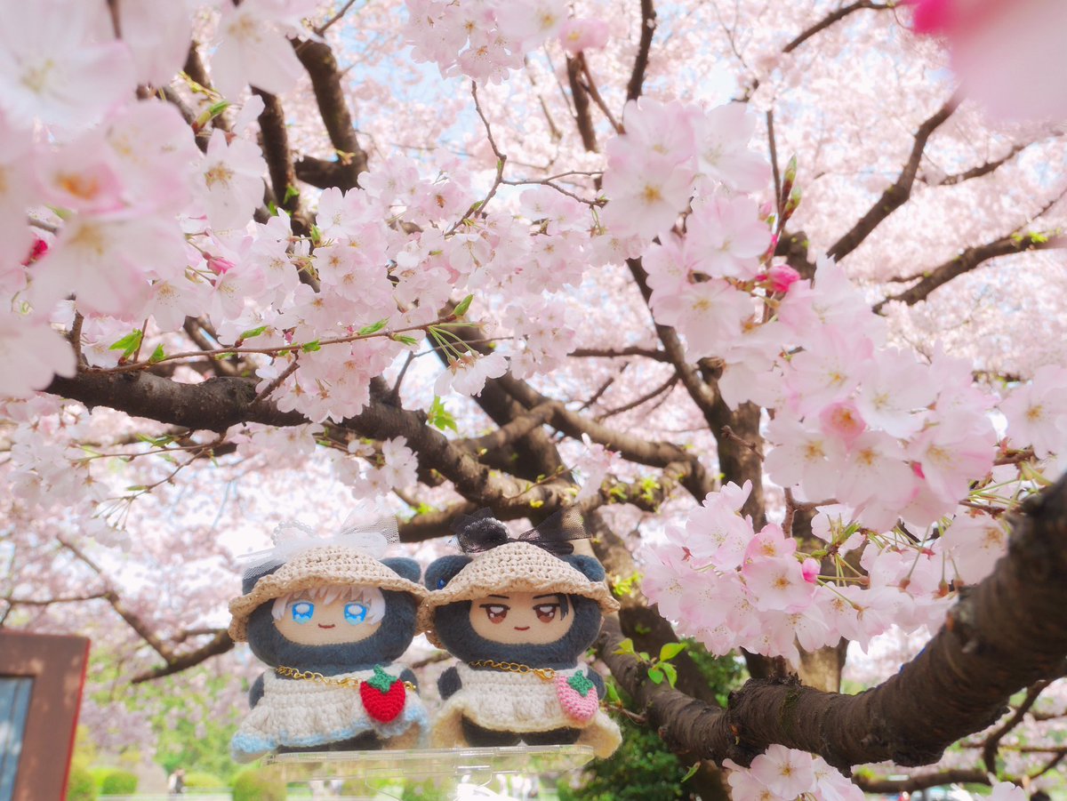 ひみつ tweet media