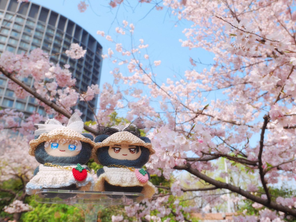 ひみつ tweet media