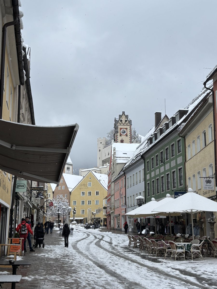 ainsley 🍋 tweet media