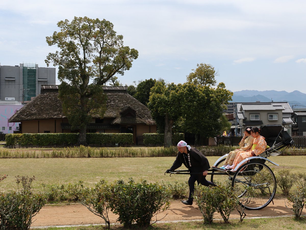 【公式】日田市 tweet media