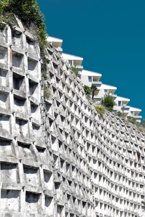 Organizermemes tweet media