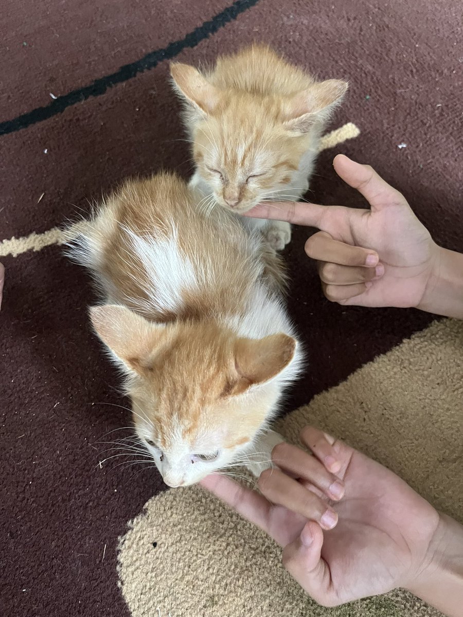 rosyiee๐ท tweet media