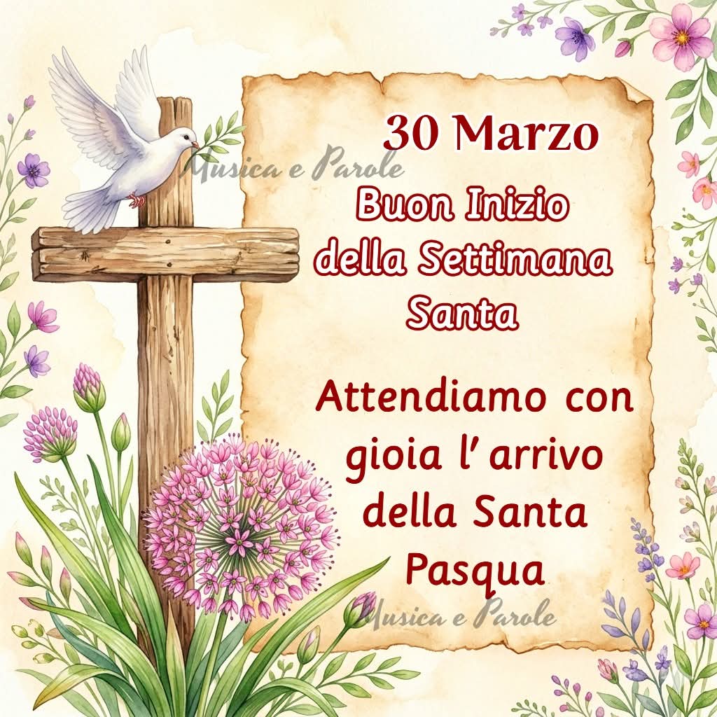 Donatella Fumagalli tweet media