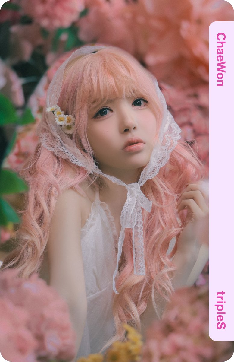 🍓 𓈒 ࣪ ˖ tweet media