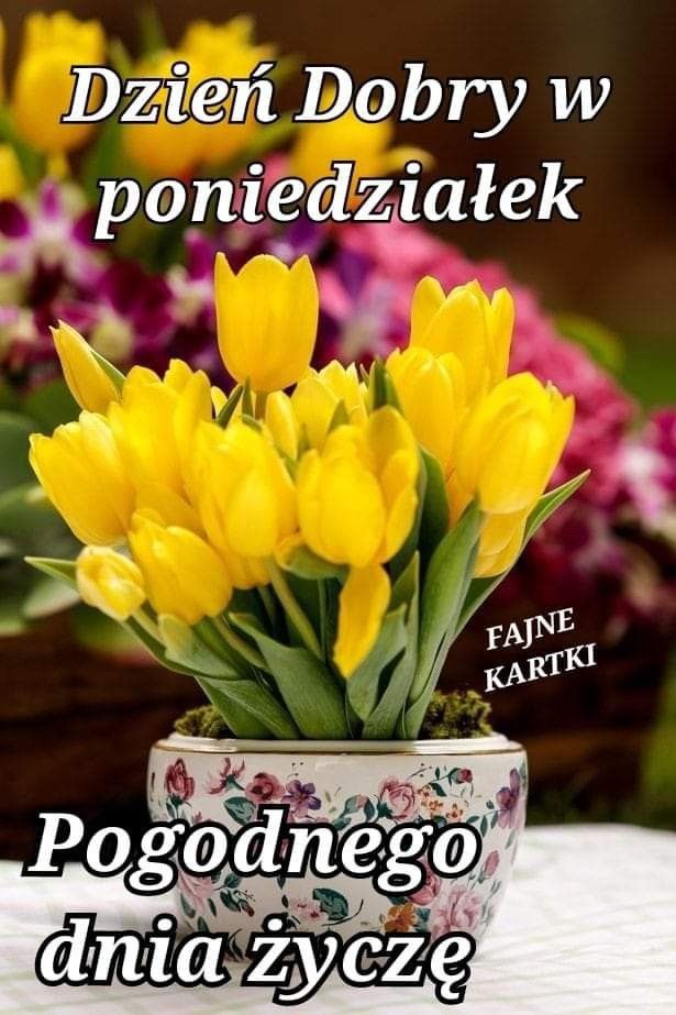 Andrzej Śledź tweet media