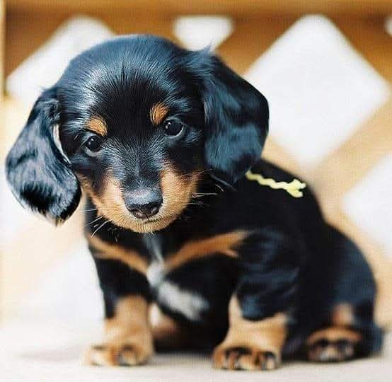 One Y Films 📹 tweet media