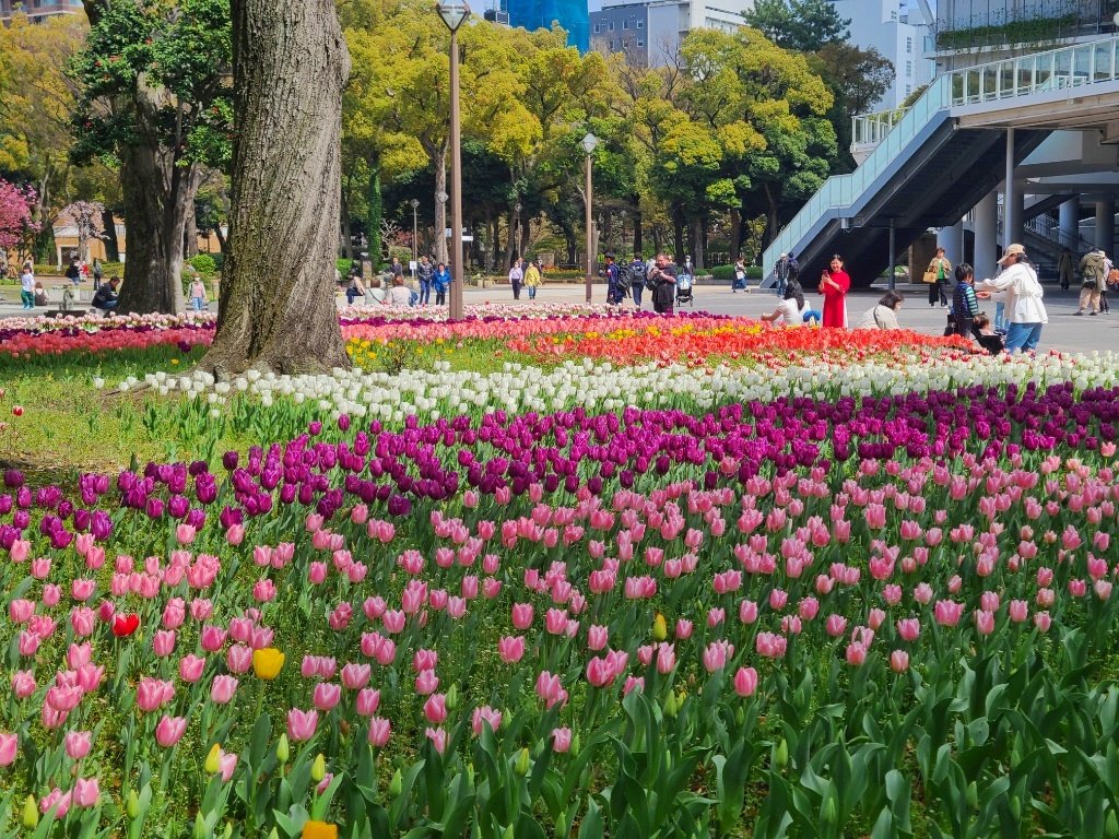 横浜ソーシャルギフト「はまポン」 tweet media