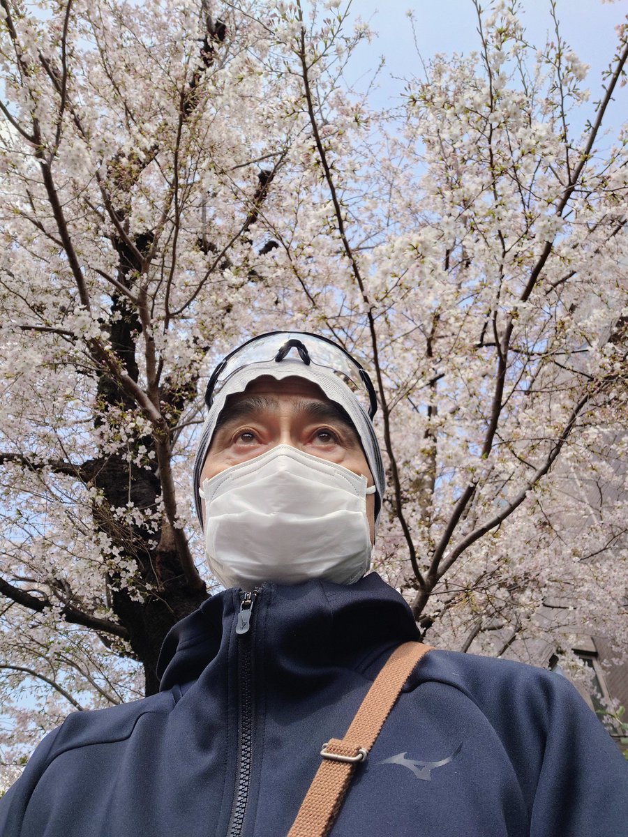 ☀😀🌸　今日も　よろしくお願いします🌸