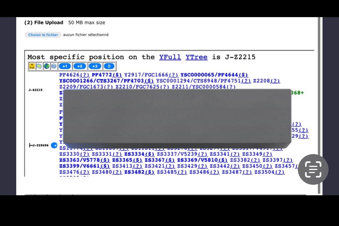 Big Herve 🇭🇰 tweet media