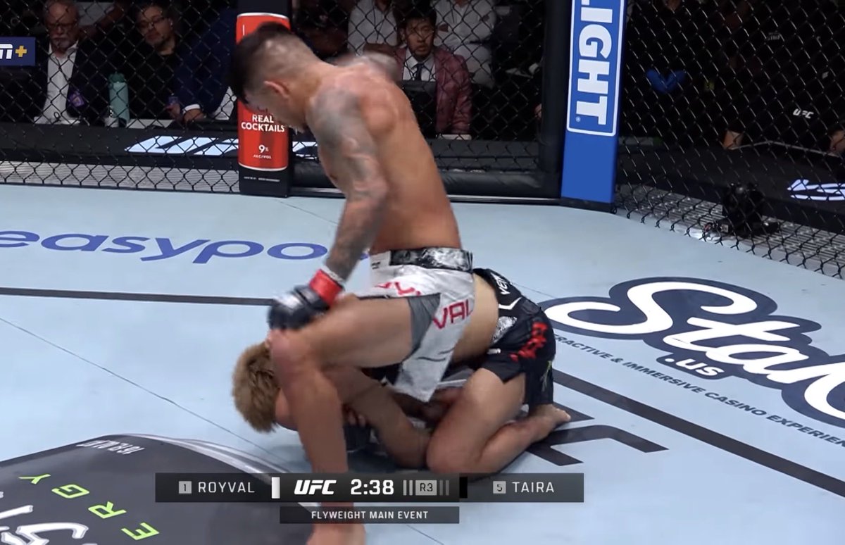 Zephyr Edwards tweet media