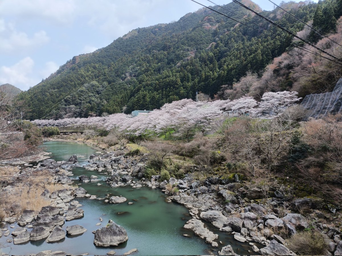 おっちー tweet media