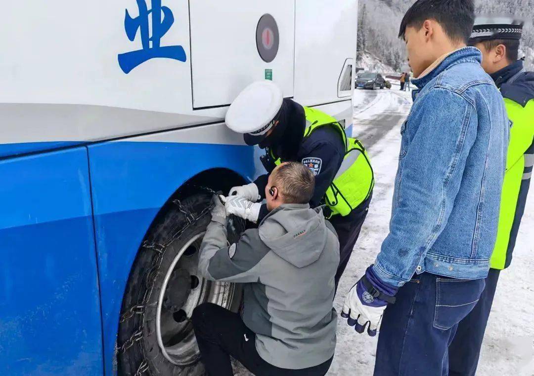 sayed shaaban tweet media