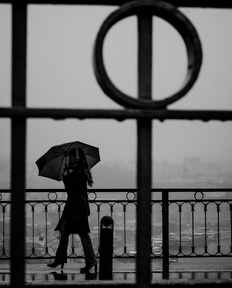 marysocontrary tweet media