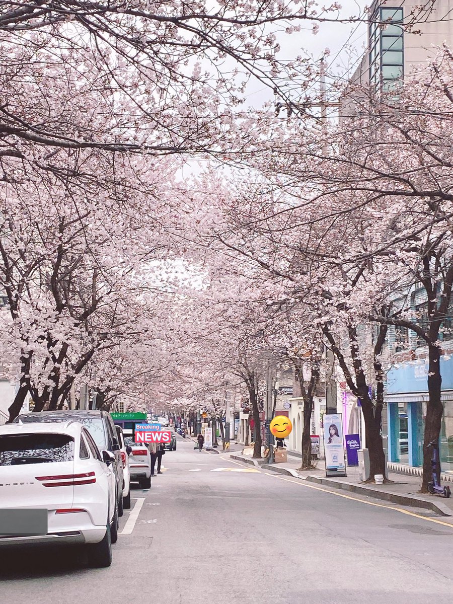 bloom_ej 🎗️🕯️ tweet media