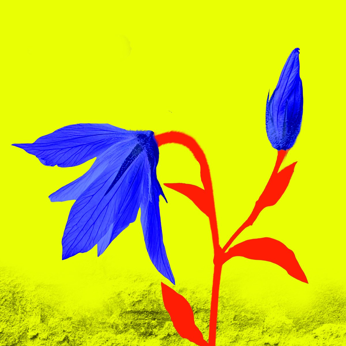 jgmacleodauthor's tweet image. Peter talks about the developments in the Creative Community in Here and There.
#creative #music #lyrics 
youtube.com/watch?v=a_VGtu…

@TheShellies

More videos:
theshellies.co.uk/seasons

#Easter2026 #MondayMood #MondayMorning