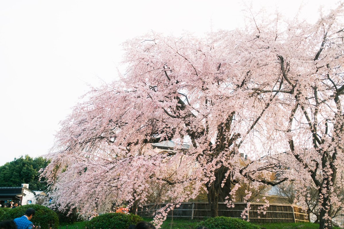 タクヲ tweet media