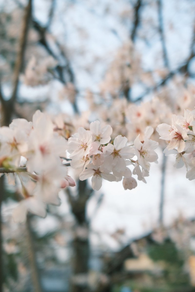 タクヲ tweet media