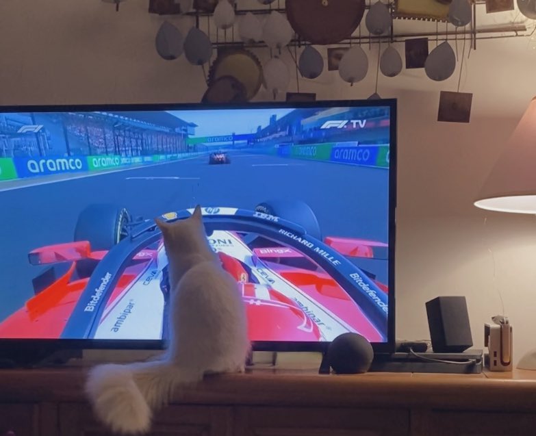 𝐑𝚎́.𝄢 tweet media