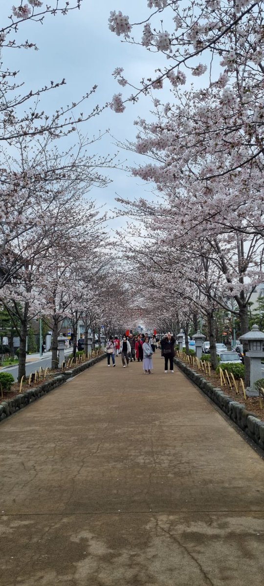 s. whalley tweet media