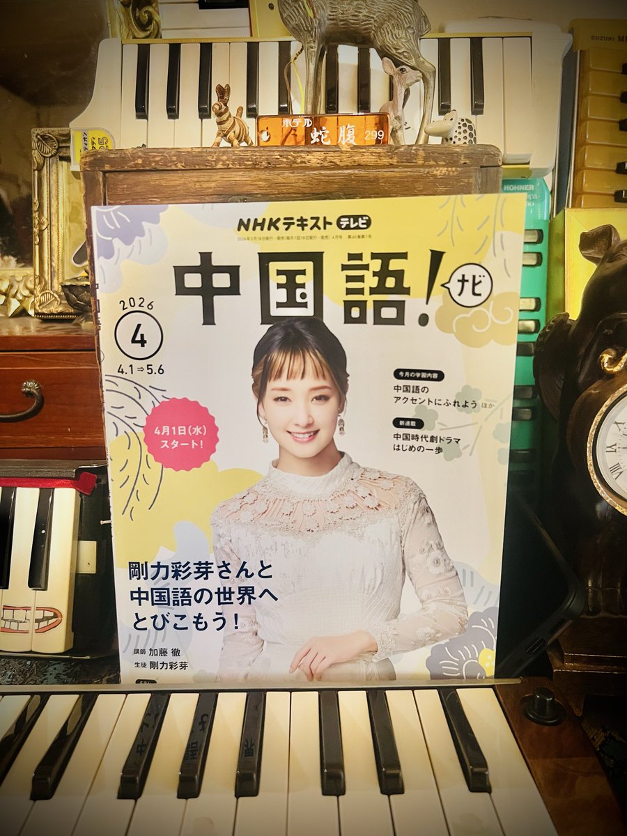 ピアノニマス 鍵盤ハーモニカ奏者・研究家 / 南川朱生 pianonymous tweet media