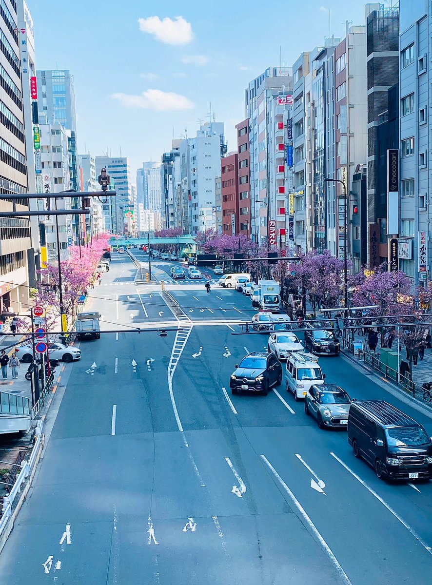 CtcspP's tweet photo. 🌸桜の季節🌸

各所で桜が見頃を
迎えてますね～👀

外出先で桜を見るのも
楽しみになっています✨

週初めですが、自分のペースで
今週も頑張りましょー💪

#企業公式つぶやき部
#企業公式相互フォロー https://t.co/5vw5oqllEy