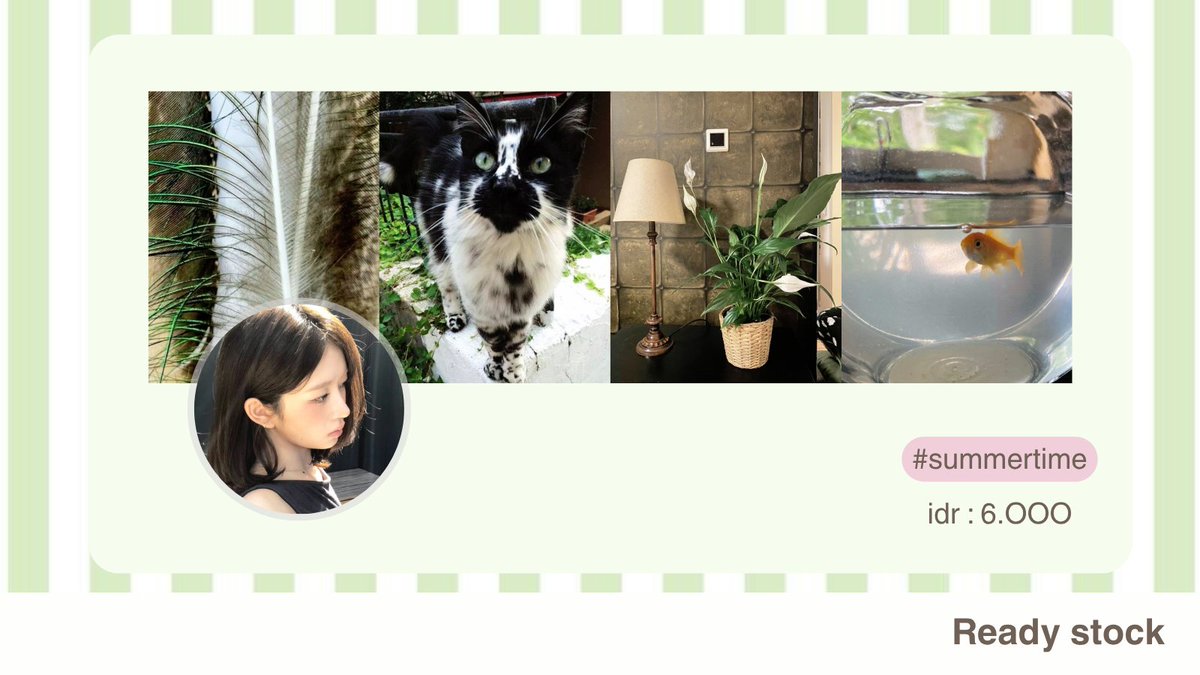 thabita!♥︎ tweet media