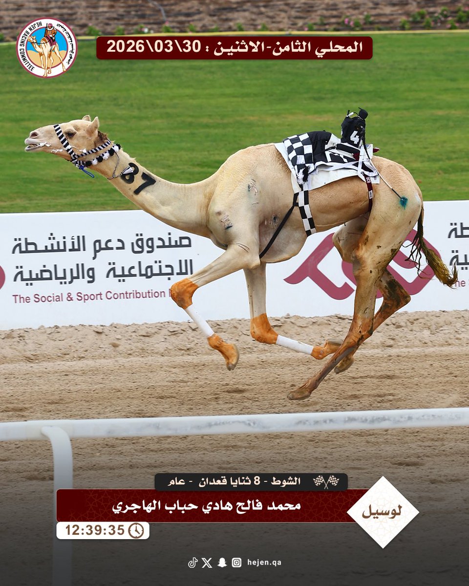 اللجنة المنظمة لسباق الهجن tweet media