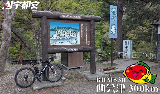 AJ宇都宮 tweet media