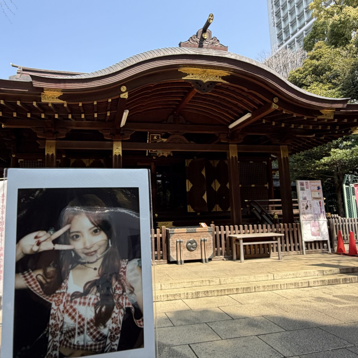 きゅうびし tweet media