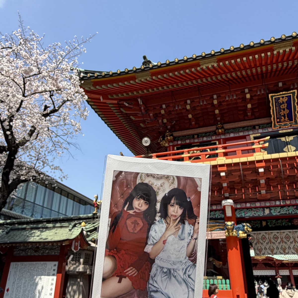 きゅうびし tweet media